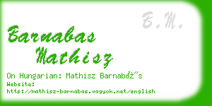 barnabas mathisz business card